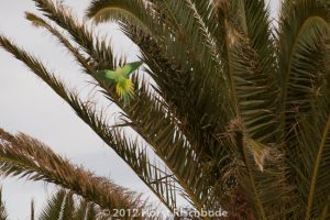 HR_20121115-17-12-2497