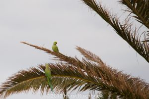 HR_20121115-17-13-2510