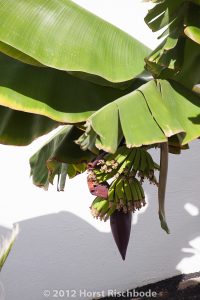 HR_20121118-11-07-2565