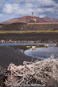 HR_20121118-15-04-2730