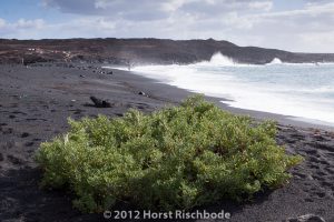 HR_20121118-15-25-2762