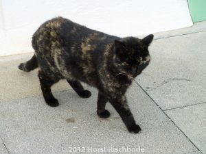 HR_20121118-16-59-1010002