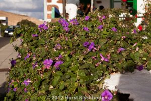 HR_20121118-17-03-2991