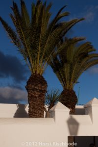 HR_20121118-17-05-2994