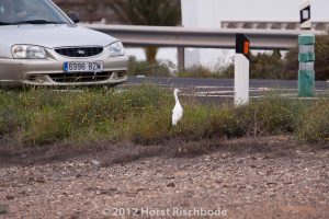 HR_20121119-14-34-3025