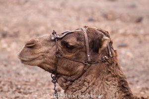 HR_20121119-14-43-3050