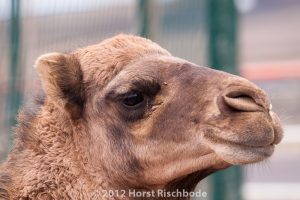 HR_20121119-14-46-3063