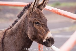 HR_20121119-14-46-3064