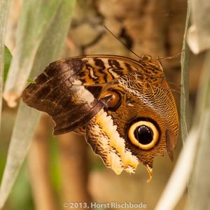 HR_20130617-12-24-9009