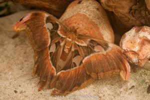 HR_20130617-12-36-9053