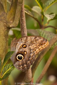 HR_20130617-12-42-9069