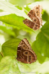 HR_20130617-12-48-9081