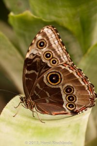 HR_20130617-14-26-9215