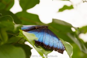 HR_20130617-14-33-9227