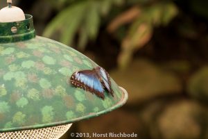 HR_20130617-14-41-9234