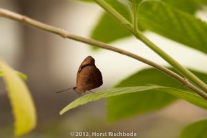 HR_20130617-14-47-9238