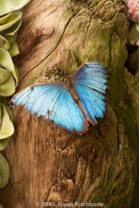 HR_20130617-14-49-9240