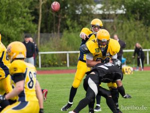 HR-14-04-12-17-32-00-1814