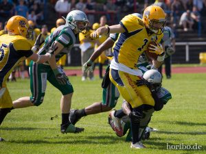 HR-14-05-17-15-15-55-4833