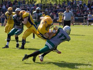 HR-14-05-17-15-53-28-5033