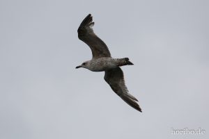 HR-14-06-04-12-06-53-6849