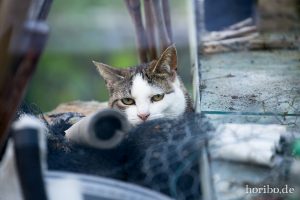 HR-14-06-04-19-33-30-6878