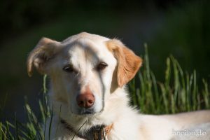 HR-14-06-04-19-41-04-6884