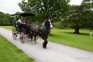 HR-14-06-05-16-08-52-6924