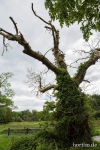 HR-14-06-05-16-12-47-6926