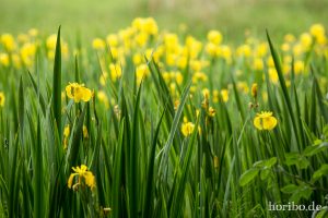 HR-14-06-05-16-24-32-6944