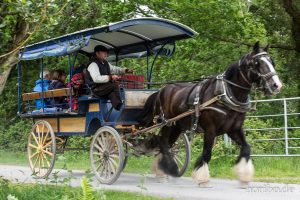 HR-14-06-05-16-41-24-6997