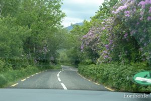 HR-14-06-05-16-50-06-1020421