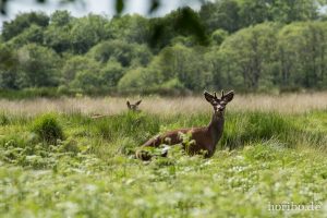 HR-14-06-05-17-12-57-7040