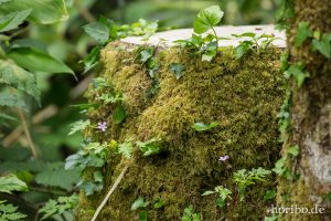 HR-14-06-05-17-16-25-7043