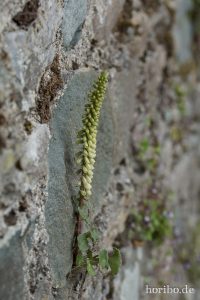 HR-14-06-05-17-32-19-7055