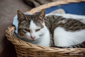 HR-14-06-05-21-44-07-7073