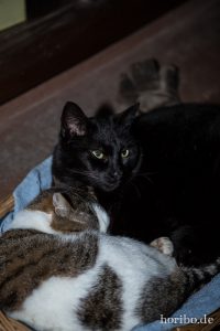 HR-14-06-05-23-08-51-7080