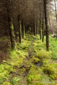 HR-14-06-06-20-04-59-7107