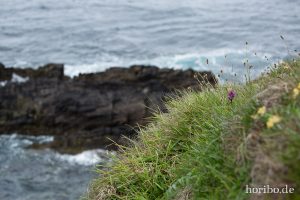 HR-14-06-09-16-00-34-7335