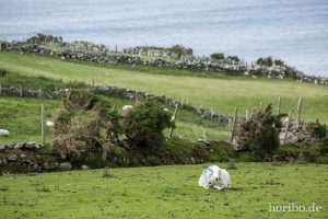 HR-14-06-09-16-22-42-7412