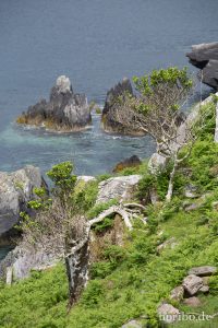 HR-14-06-09-16-24-25-7418