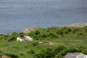 HR-14-06-09-16-29-37-7430