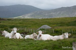 HR-14-06-09-17-05-46-7439