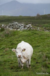 HR-14-06-09-17-05-54-7441