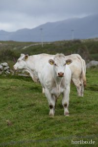 HR-14-06-09-17-06-55-7445