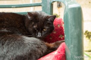 HR-14-06-09-21-12-53-7493