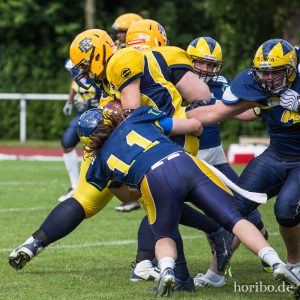 HR-14-06-14-16-57-47-8381