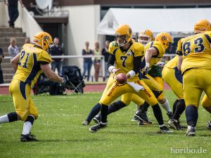 HR-14-06-28-15-13-08-9381