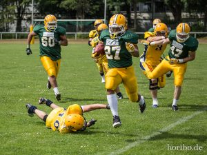 HR-14-06-28-15-20-15-9433