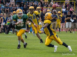 HR-14-06-28-15-37-59-9621